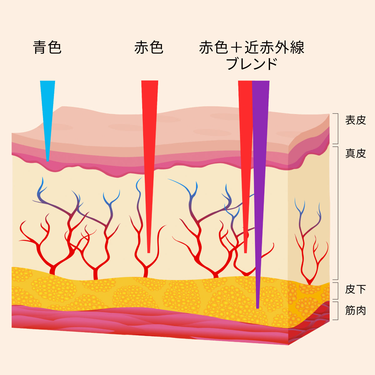 波長の図解